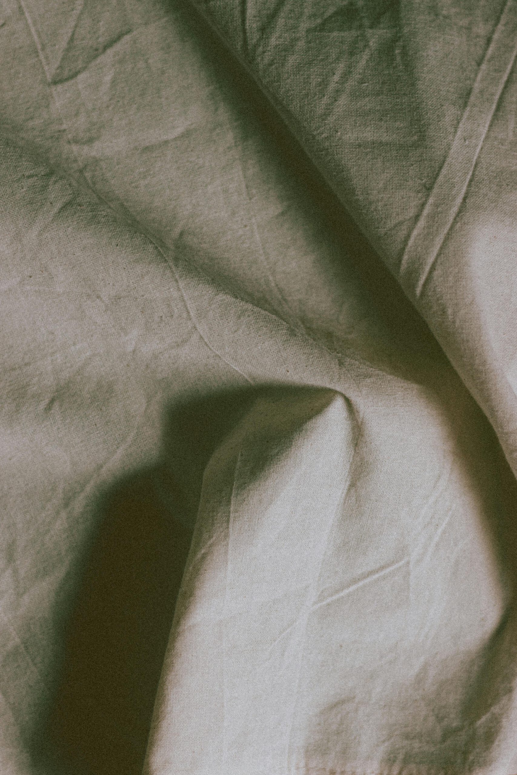 pexels matreding 4394239